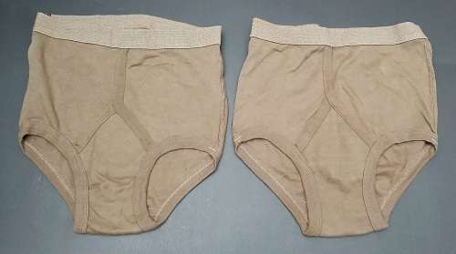 **Border War: 1970s SADF Nutria Unissued Men`s Underwear x2 (W/ Size: 30).**