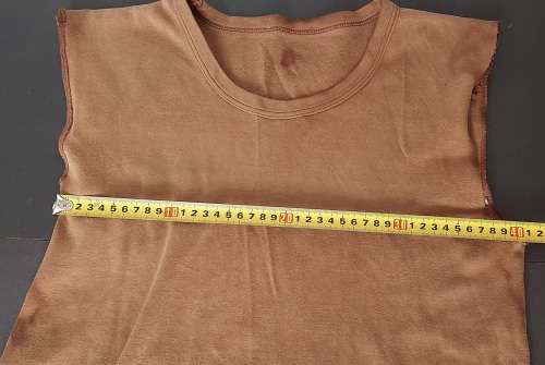 **  1970s Early SADF  Nutria Combat PT Shirt (Sleeveless) [MEDIUM]**