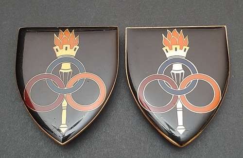 ** Border War : 1970s SADF Services School Lucite Flash Pair (All Pins).**