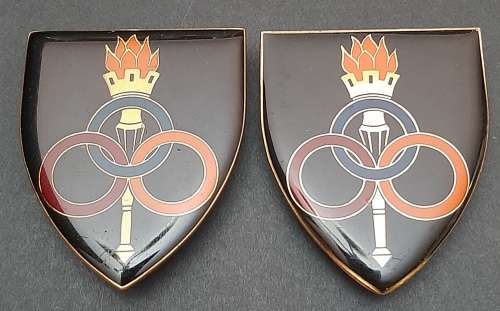 ** Border War : 1970s SADF Services School Lucite Flash Pair (All Pins).**