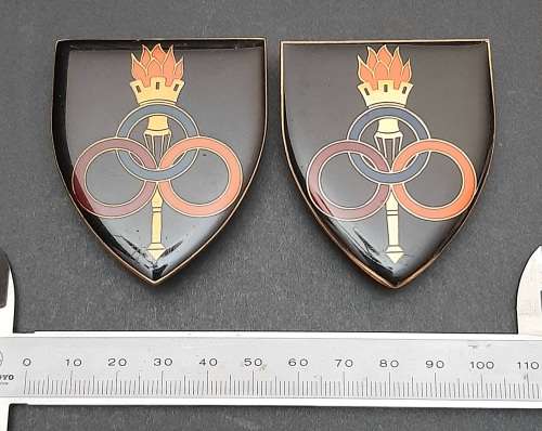 ** Border War : 1970s SADF Services School Lucite Flash Pair (All Pins).**