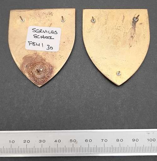 ** Border War : 1970s SADF Services School Lucite Flash Pair (All Pins).**