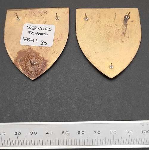 ** Border War : 1970s SADF Services School Lucite Flash Pair (All Pins).**