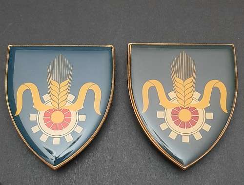 Border War 1970s SADF Quartermaster General Lucite Flash Pair Pins