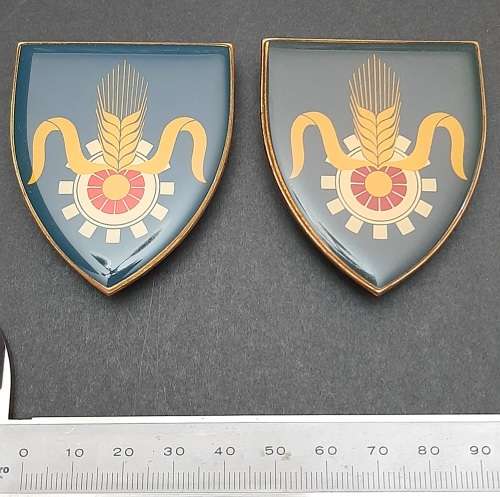 Border War 1970s SADF Quartermaster General Lucite Flash Pair Pins