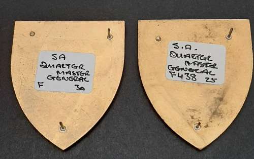 Border War 1970s SADF Quartermaster General Lucite Flash Pair Pins
