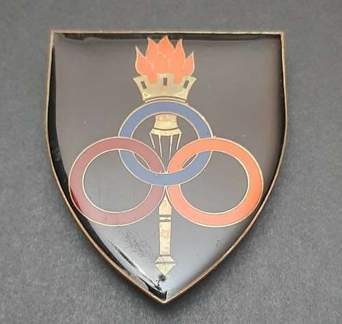 Border War: 1970s SADF Services School Lucite Flash x1 (All Pins)