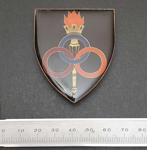 Border War: 1970s SADF Services School Lucite Flash x1 (All Pins)