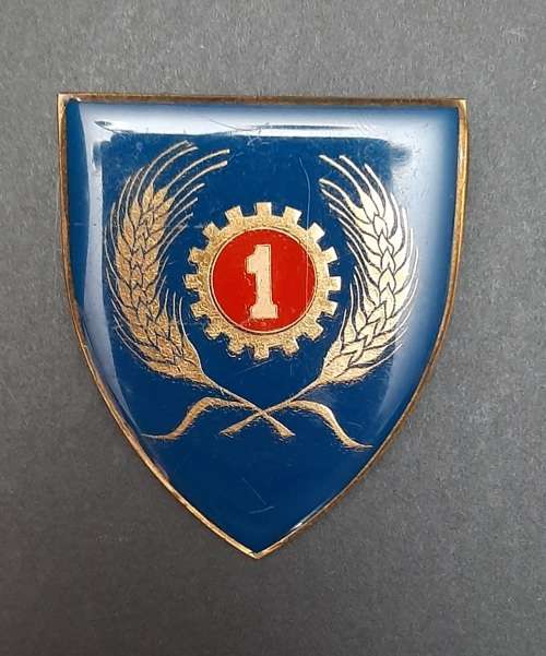 * Border War : 1970s SADF 1 Maintenance Unit Lucite Flash  (Two Pins).**