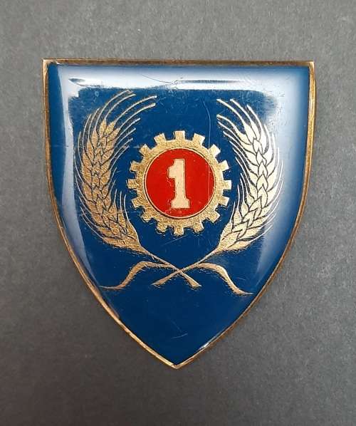 * Border War : 1970s SADF 1 Maintenance Unit Lucite Flash  (Two Pins).**