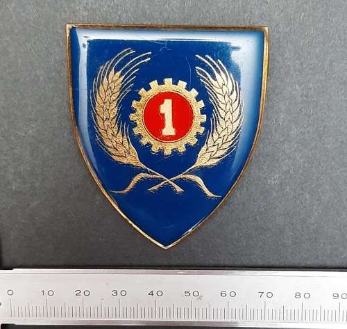 * Border War : 1970s SADF 1 Maintenance Unit Lucite Flash  (Two Pins).**