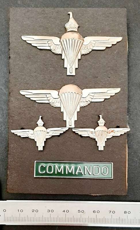 **RARE: 1981 Zimbabwe National Army 1 Commando Parachute Insignia Set (Lugs Intact).**