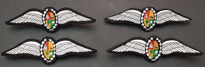 **Border War : 1980s SAAF Tupperware Pilot`s Wings Embossed w/ Pins(UNUSED).**