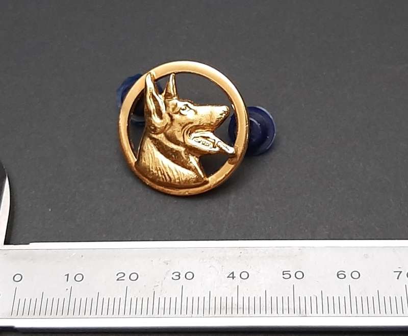 Border War: 1980s S.A.P Dog Handler Metal Breast Badge