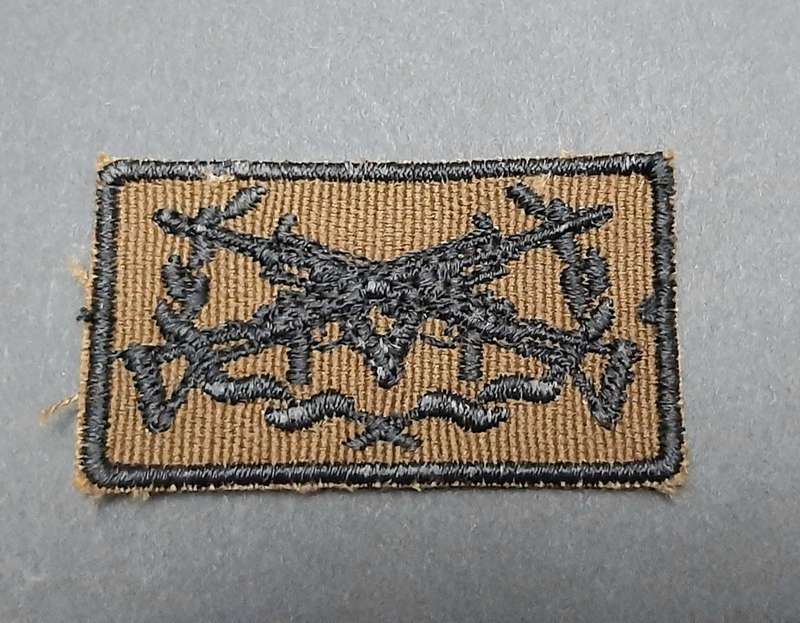 **Border War : 1980s SWATF 1st Class Marksman`s Nutria Badge**
