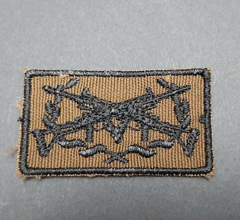 **Border War : 1980s SWATF 1st Class Marksman`s Nutria Badge**