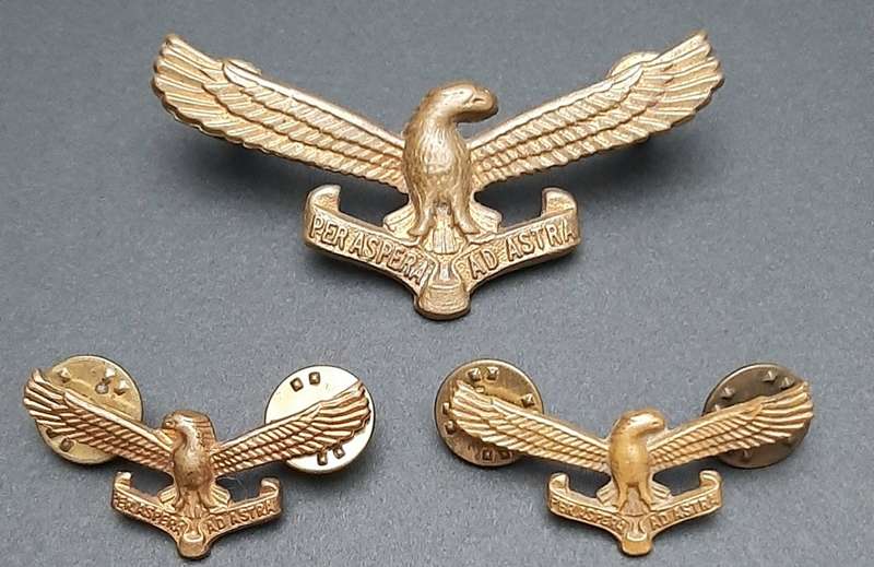 **Border War : 1970s SAAF Cap & Collar Badge Set x3 Pcs (All Pins)**