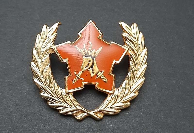 **Border War : 1980s SADF 5-Year Volunteer Metal Badge (All Pins)**
