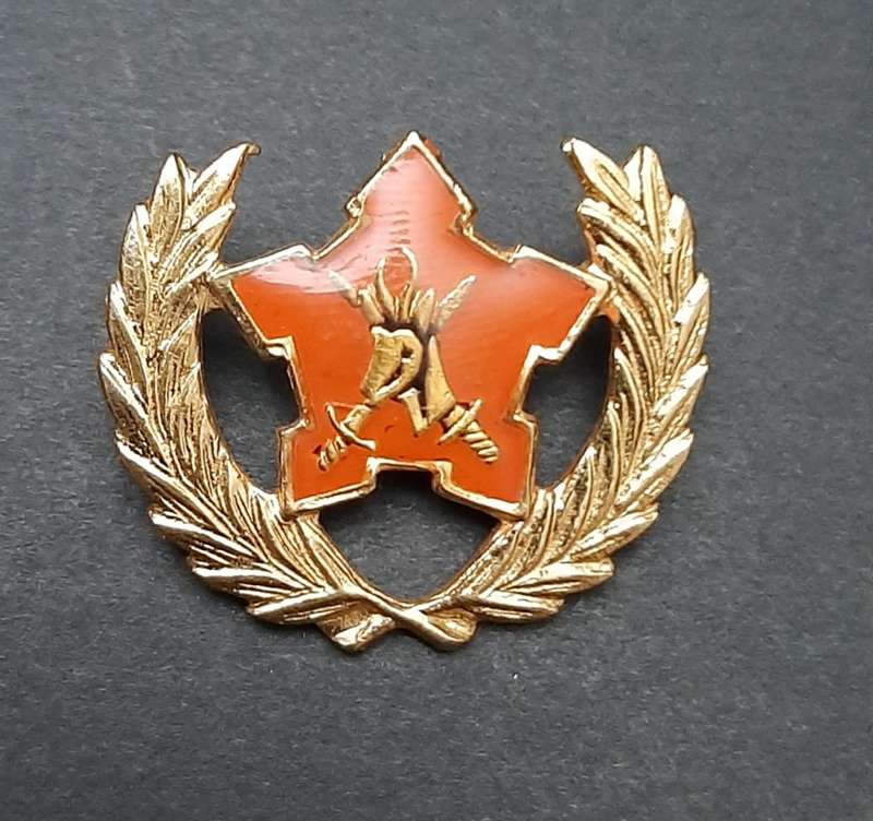 **Border War : 1980s SADF 5-Year Volunteer Metal Badge (All Pins)**