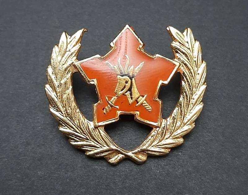 **Border War : 1980s SADF 5-Year Volunteer Metal Badge (All Pins)**