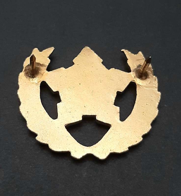 **Border War : 1980s SADF 5-Year Volunteer Metal Badge (All Pins)**