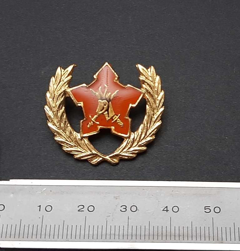 **Border War : 1980s SADF 5-Year Volunteer Metal Badge (All Pins)**