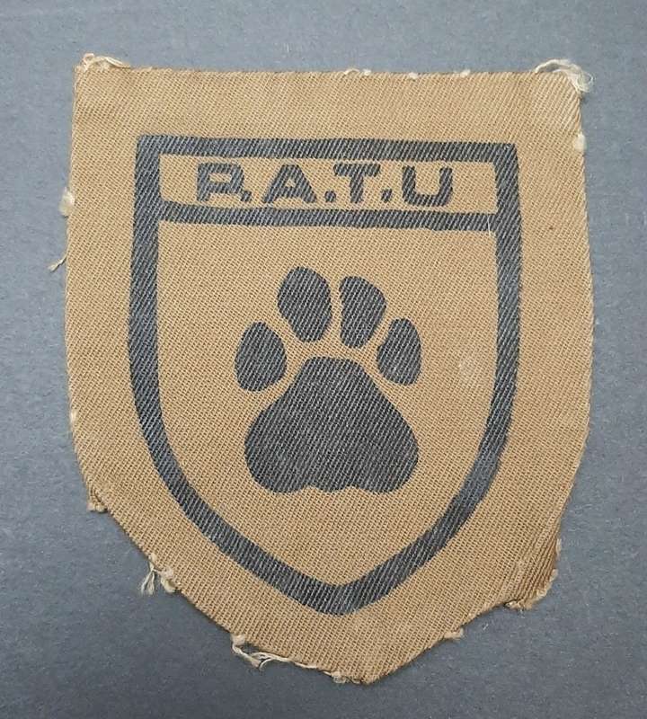 **Rhodesian Bush War: 1960s PATU Green Type I Fielddress Insignia .**