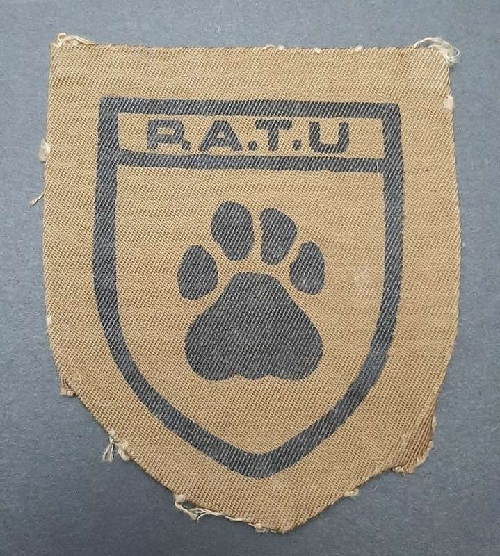 **Rhodesian Bush War: 1960s PATU Green Type I Fielddress Insignia .**