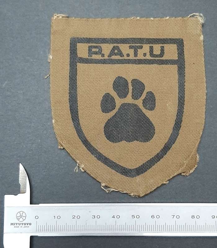 **Rhodesian Bush War: 1960s PATU Green Type I Fielddress Insignia .**