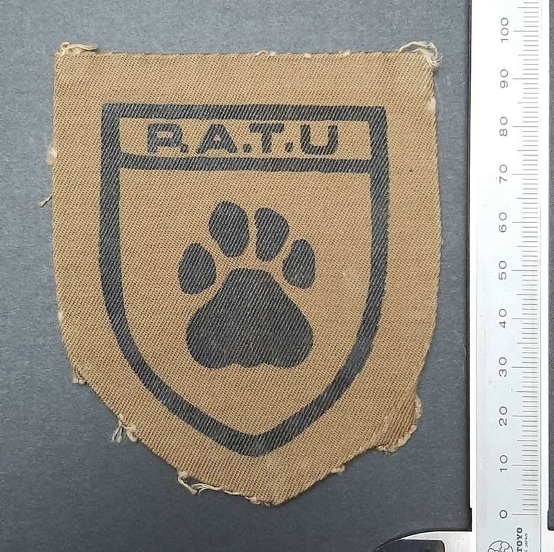 **Rhodesian Bush War: 1960s PATU Green Type I Fielddress Insignia .**