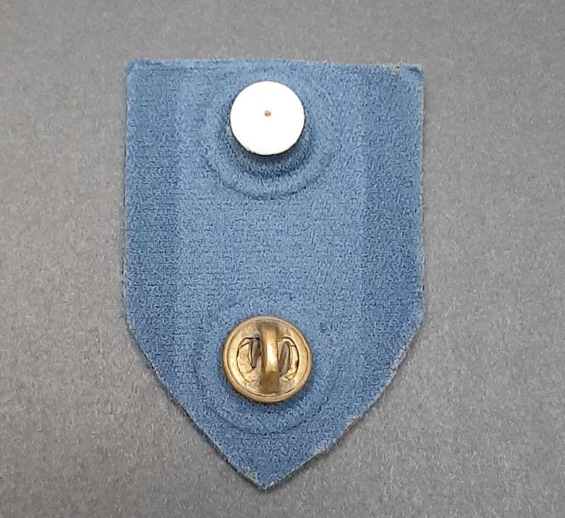 **Border War : 1980s S.A.P Riot Unit 1  Blue Chest Flash(All Pins).**