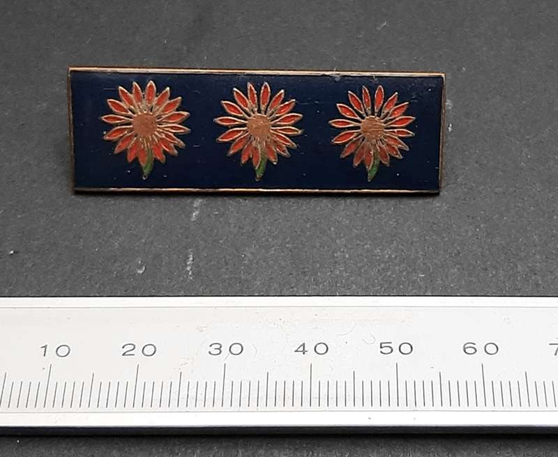 **Border War : 1980s SADF Northern Transvaal Command Bar (Pins Intact).**