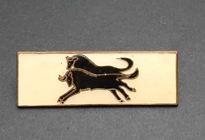 **Border War : 1980s SADF Natal Command Bar (All Pins ).**