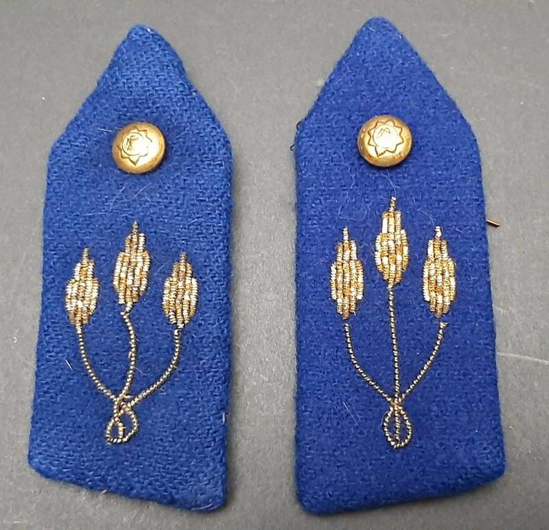 **Border War : 1970s  Brigadier Blue Rank Bullion Gorgets x2 *