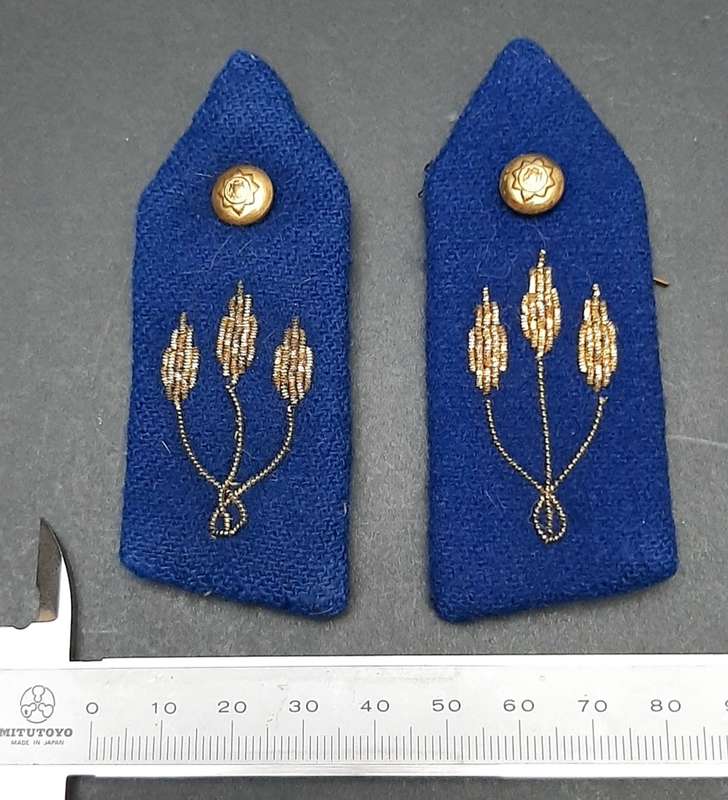**Border War : 1970s  Brigadier Blue Rank Bullion Gorgets x2 *
