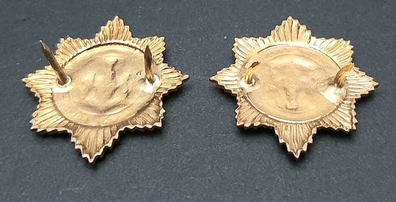 **Border War : 1980s KwaZulu Police Collar Badges(Pins intact).**