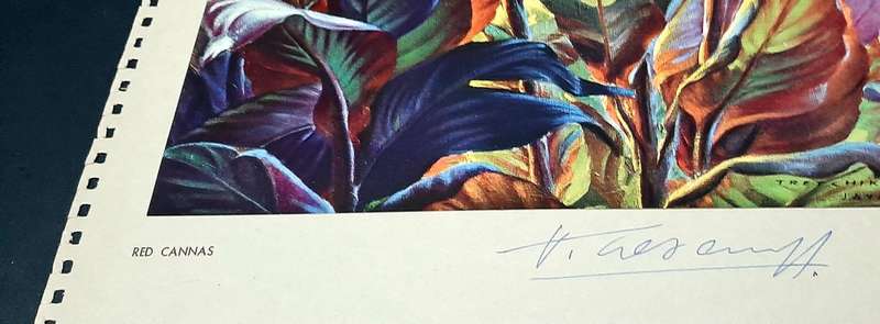 **RARE: Hand-Signed Vladimir Tretchikoff `Red Cannas`   Lithographic Print (36cm x27cm).**
