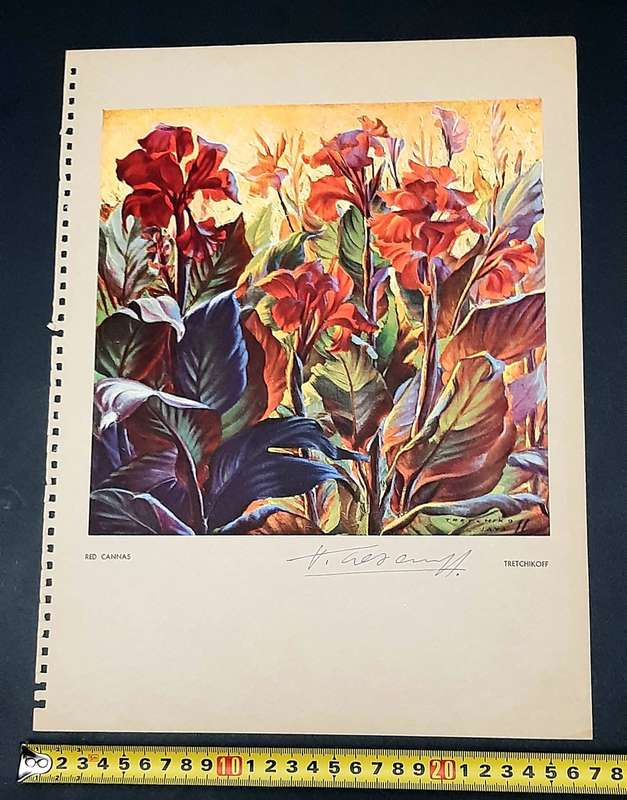 **RARE: Hand-Signed Vladimir Tretchikoff `Red Cannas`   Lithographic Print (36cm x27cm).**