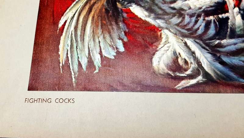 **RARE: Hand-Signed Vladimir Tretchikoff `Fighting Cocks`  Lithographic Print (36cm x27cm).**