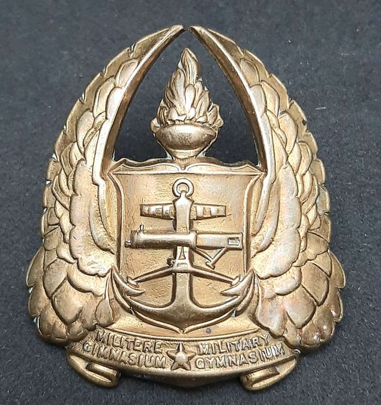 **Border War : 1960s SADF Army Gymnasium Officer`s Cap Badge w/ Lugs (LARGE).**