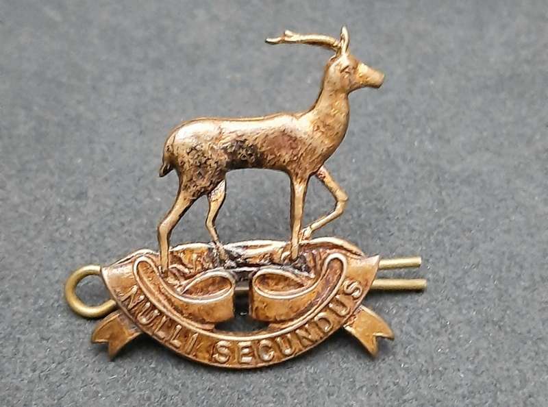 **WW2 UDF: Pretoria Regiment Brass Cap Badge w/ Pin.**