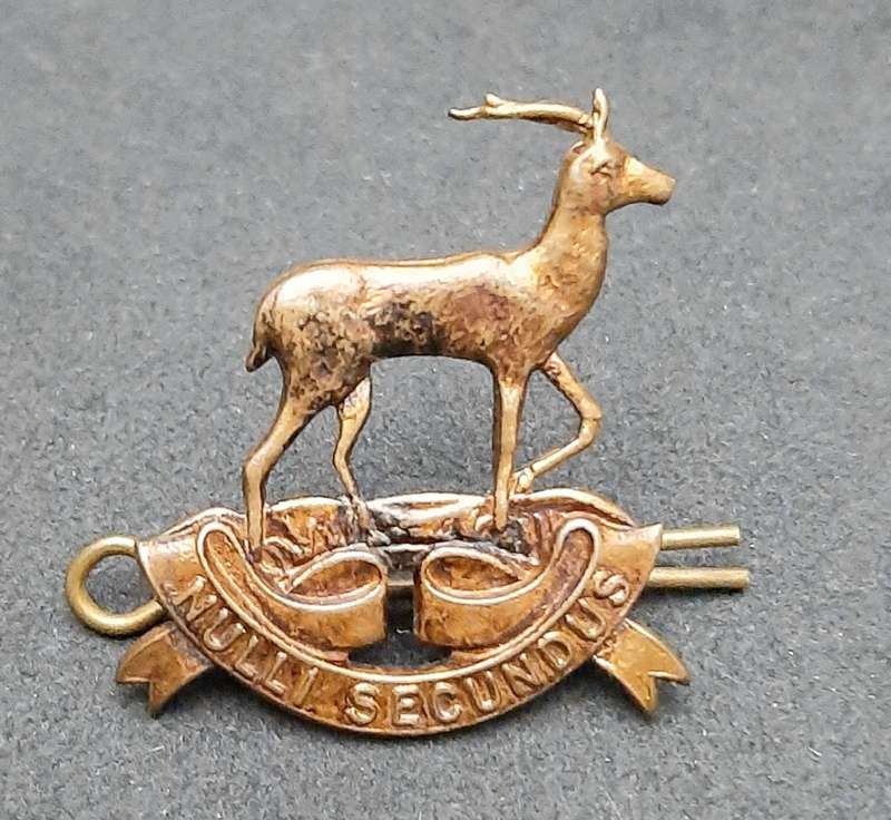 **WW2 UDF: Pretoria Regiment Brass Cap Badge w/ Pin.**