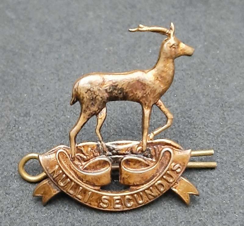 **WW2 UDF: Pretoria Regiment Brass Cap Badge w/ Pin.**