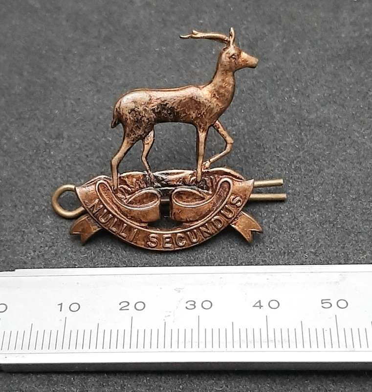 **WW2 UDF: Pretoria Regiment Brass Cap Badge w/ Pin.**