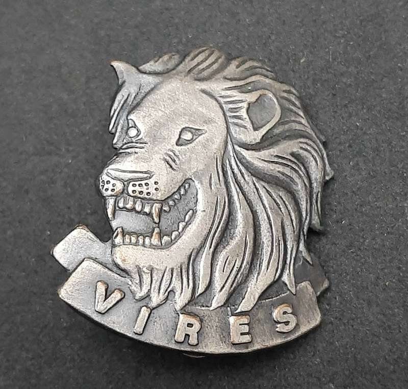 **RARE: 1994/95 SANDF State President`s Guard Cap/ Beret Badge (Proposed).**