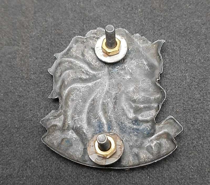 **RARE: 1994/95 SANDF State President`s Guard Cap/ Beret Badge (Proposed).**