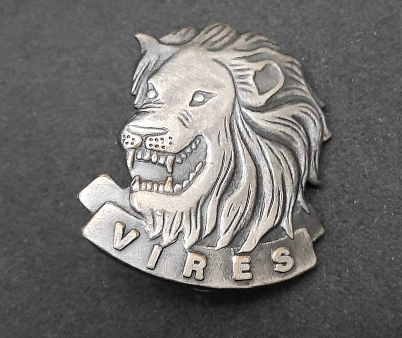 **RARE: 1994/95 SANDF State President`s Guard Cap/ Beret Badge (Proposed).**