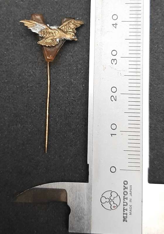 **RARE: WW2 RAF Pilot`s Sweetheart Perspex Badge w/ Victory Pin.**