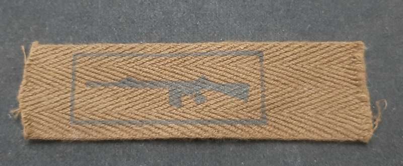 **Border War : 1970s SADF Nutria Rifle 'Skietbalkie'  Qualification Badge**