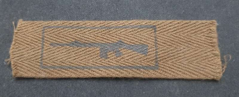 **Border War : 1970s SADF Nutria Rifle 'Skietbalkie'  Qualification Badge**